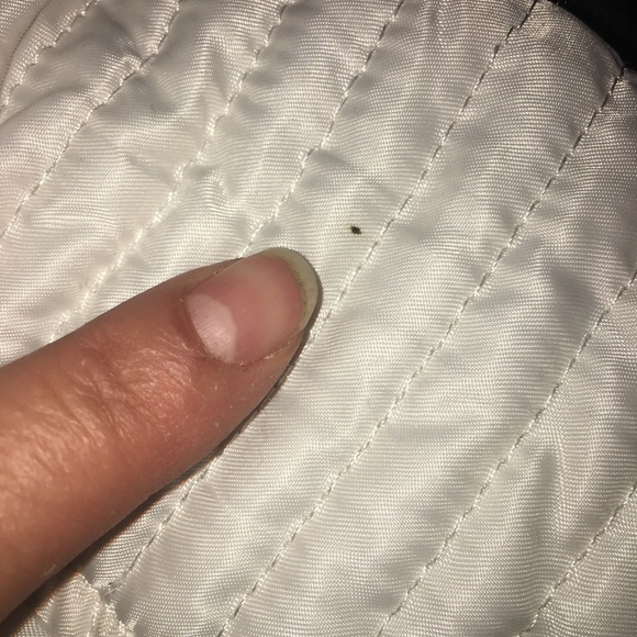 Marc New York Andrew Marc White Quilted Puffer Jacket in Size Medium. - Picture 10 of 15